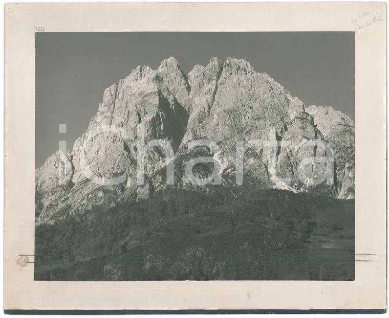 1925 ca ALPI Monte ANTELAO Re delle DOLOMITI Fotografia 29x24 cm