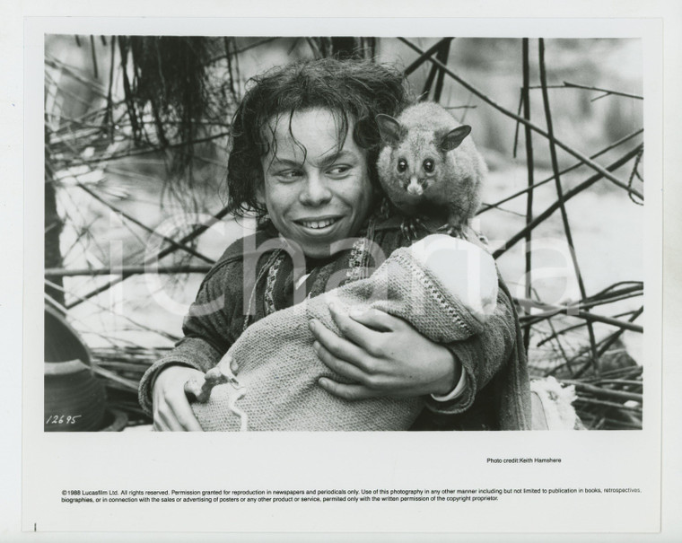 1988 CINEMA - WILLOW Warwick DAVIS Foto 25x20 cm