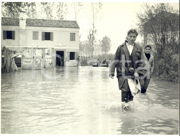 1960 ARIANO POLESINE Drammatico esodo delle vittime dell'alluvione *Foto 24x18
