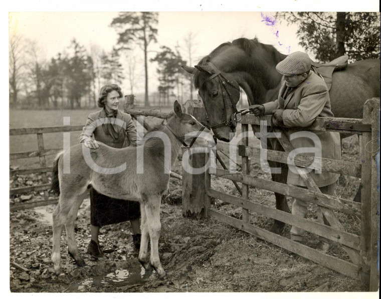 1954 LLANVAIR (UK) Karry LLEWELLYN'S and his wife with two horses *Photo