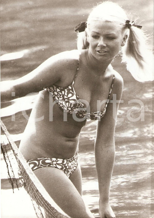 1971 AUSTRALIA Kathy TROUTT Portrait in bikini *Foto 13x18 cm