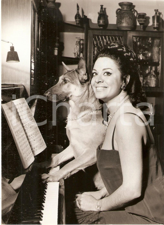 1968 MILANO Soprano Gianna GALLI esercizio di solfeggio con il cane *Foto 13x18