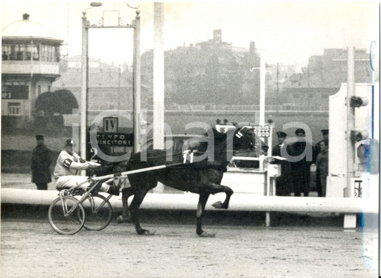 1966 MILANO - IPPICA - SAN SIRO Gran Premio delle Nazioni *Foto 24x18 cm