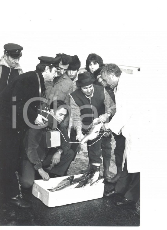 1970 ca MILANO New fish radar checking the freshness at fish-market *Photo 