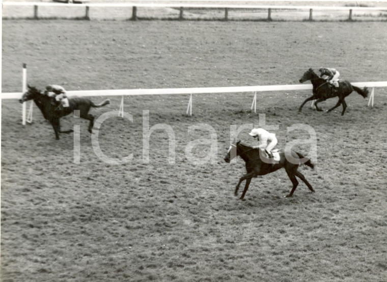 1959 NEWMARKET (UK) - 1,000 Guineas - Doug SMITH wins on Petite Etoile *Photo