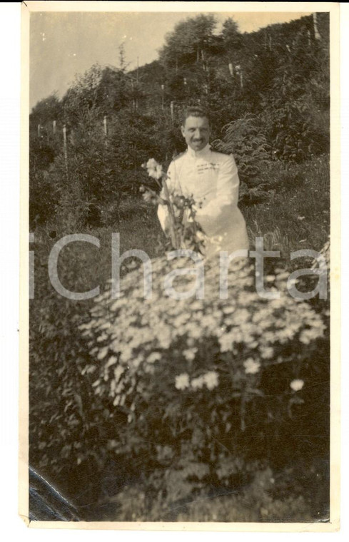 Agosto 1916 WW1 ZONA DI GUERRA Ritratto di ufficiale con cespuglio fiorito *Foto