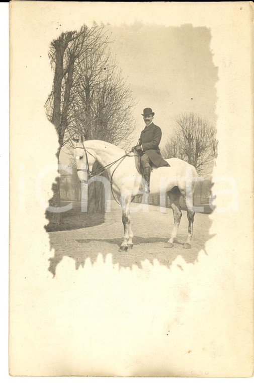 1920 ca FRANCE EQUITAZIONE Ritratto maschile su cavallo bianco *Foto cartolina