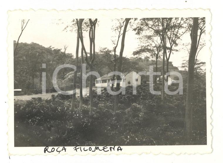 1966 BENGUELA (ANGOLA) Edifici commerciali nella foresta *Foto 12x8 cm