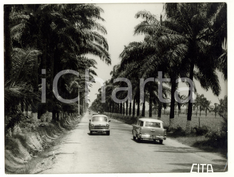 1970ca LOBITO (Angola) Estrada de Benguela **REAL PHOTO cm 24 x 18