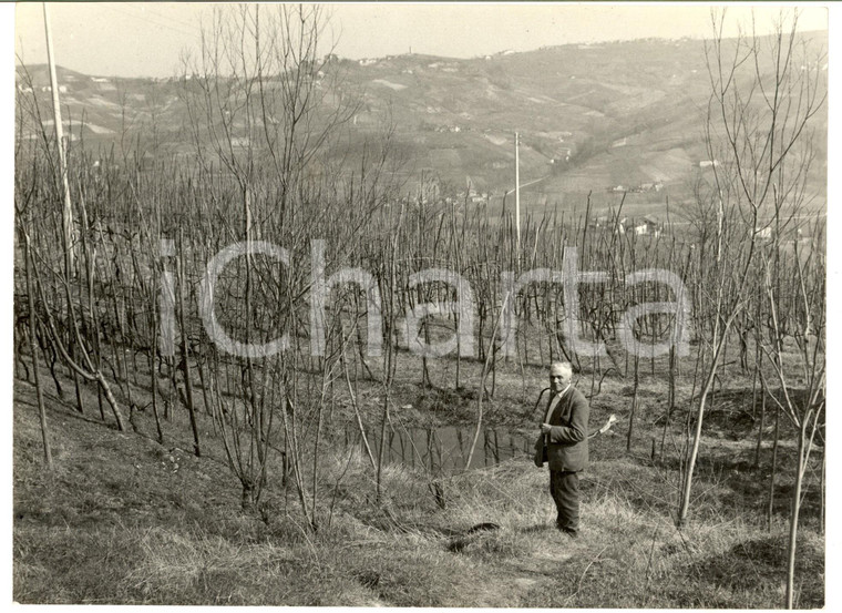 1962 BRONI (PV) Panorama con azienda agricola in collina - Foto ANIMATA 24x18