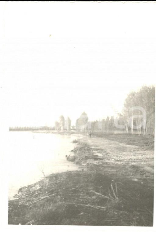 1957 Alluvione CERVESINA - Tenuta ISOLA - Danni da allagamento - Foto 10x14