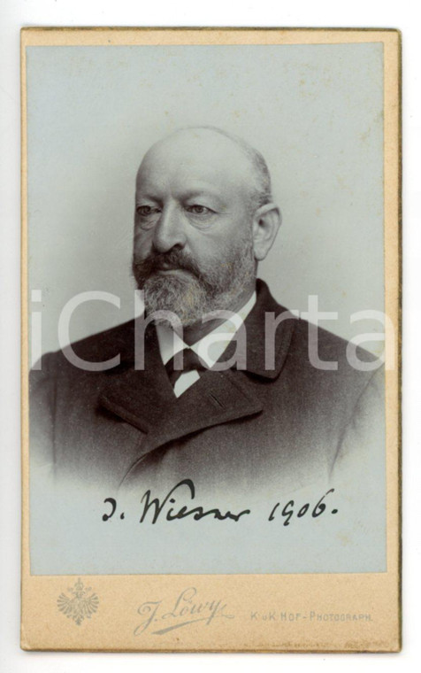 1906 WIEN Ritratto del botanico Julius VON WIESNER *Foto LOWY CDV - AUTOGRAFO