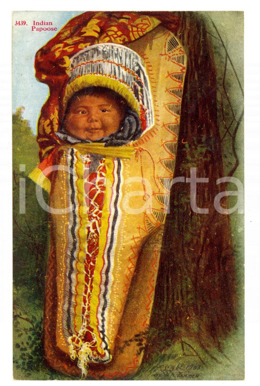 1910 ca NATIVE AMERICAN Indian Papoose *Vintage postcard H. H. TAMMEN FP NV