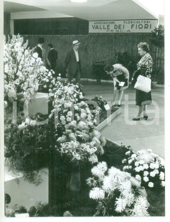 1964 PESCIA - Veduta della 7° Biennale del Fiore - Fotografia 14x18 cm