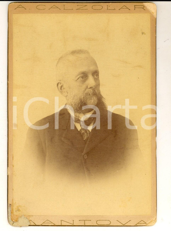 1890 ca MANTOVA Ritratto maschile con cravatta a pois - Foto CALZOLARI 12x16