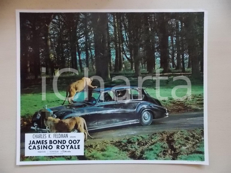 1967 JAMES BOND 007 CASINO ROYALE Lionesses attack car *Lobby card ED. FRANCESE