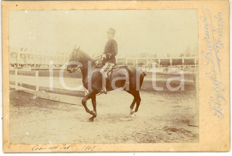 1902 TORINO IPPICA Concorso internazionale - Cavallo al trotto - Foto LAGRANGE
