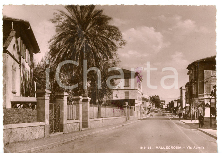 1942 VALLECROSIA (IM) Scorcio caratteristico di via AURELIA *Cartolina ANIMATA 