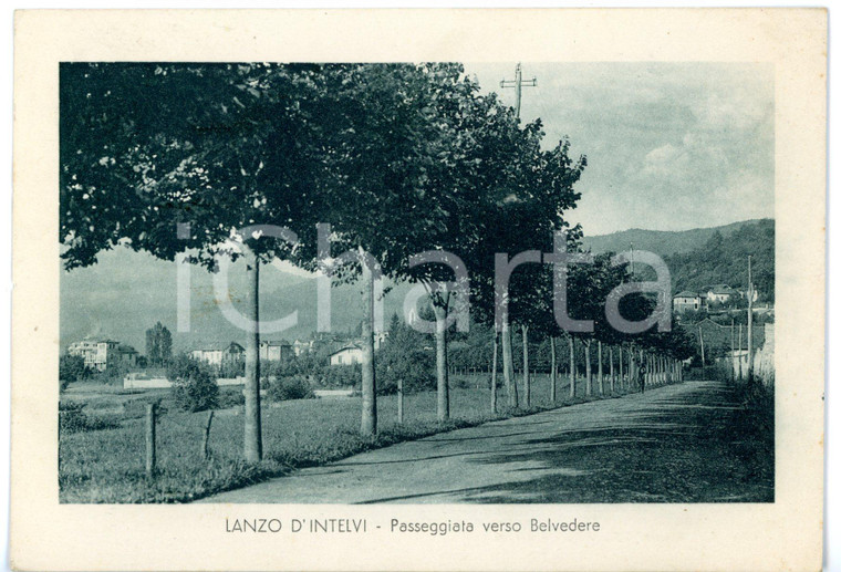 1937 LANZO D'INTELVI (CO) Viale alberato verso BELVEDERE *Cartolina FG VG