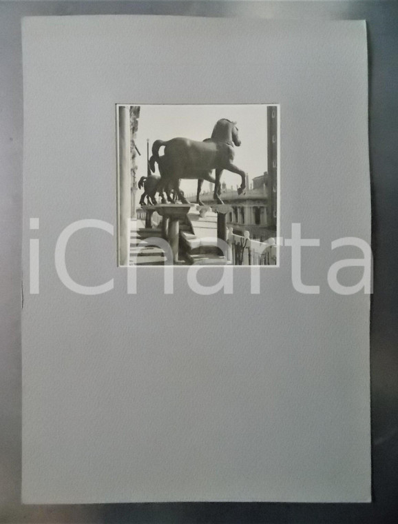 1935 VENEZIA I cavalli di San Marco *Foto VINTAGE con passepartout 24x34 cm