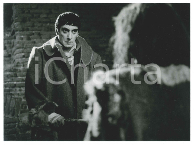 1983 CINEMA - SOGNO DI UNA NOTTE D'ESTATE - Flavio BUCCI - Foto 24x18 cm