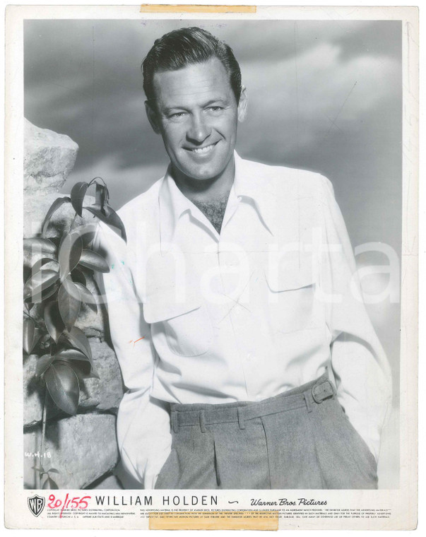 1950 CINEMA William HOLDEN in "Viale del Tramonto" - Foto 20x26 cm