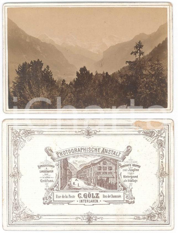 1900 ca Area di INTERLAKEN (SVIZZERA) Veduta con le Alpi - Foto C. GOLZ 17x11