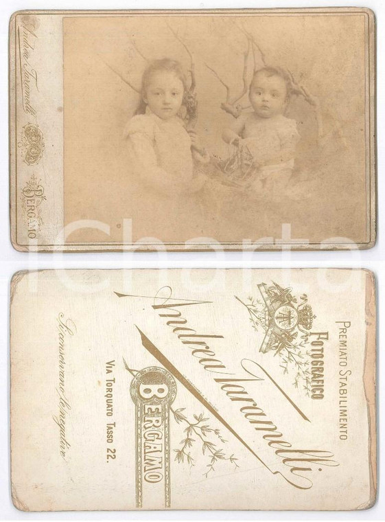 1900 ca BERGAMO Ritratto di due bambini tra i rami - Foto Andrea TARAMELLI 11x16