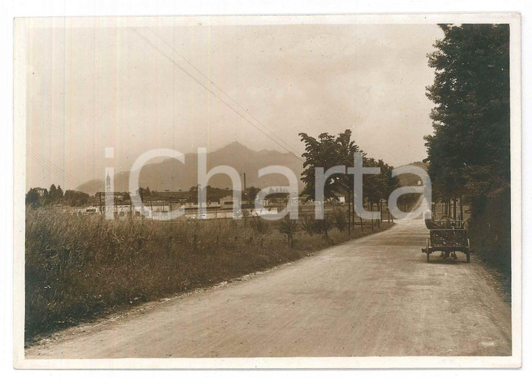 1940 ca OGGIONO (LC) Viale di accesso ^Fotografia ANIMATA carretto 15x10 cm