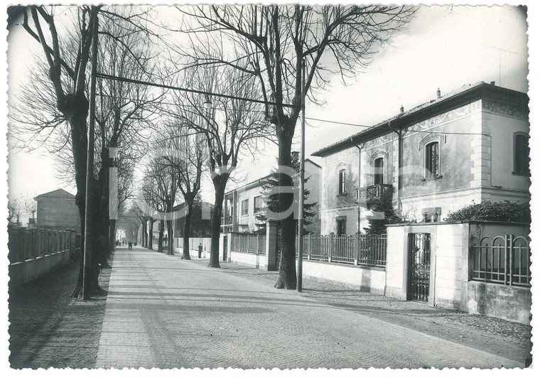 1950 ca OGGIONO (LC) Viale VITTORIA - Veduta *Fotografia 17x12 cm