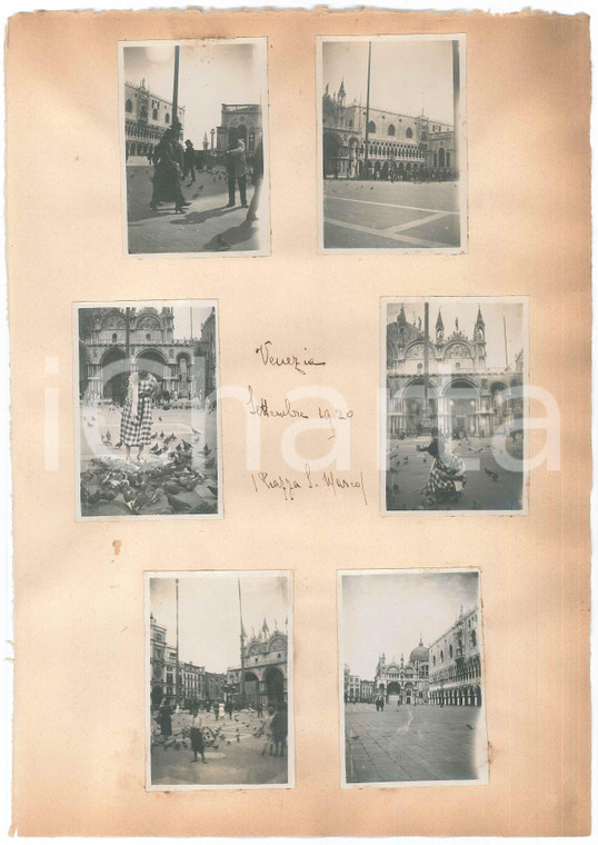 1920 VENEZIA - Piazza San Marco - Donna tra i piccioni *Lotto 6 foto 6x8 cm