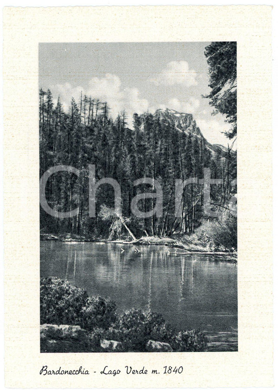 1950 ca BARDONECCHIA (TO) Lago verde - Cartolina FG NV