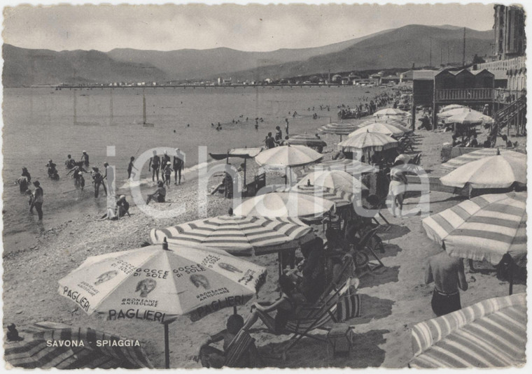 1950 SAVONA Spiaggia - Ombrellone con promo PAGLIERI - Cartolina ANIMATA FG VG