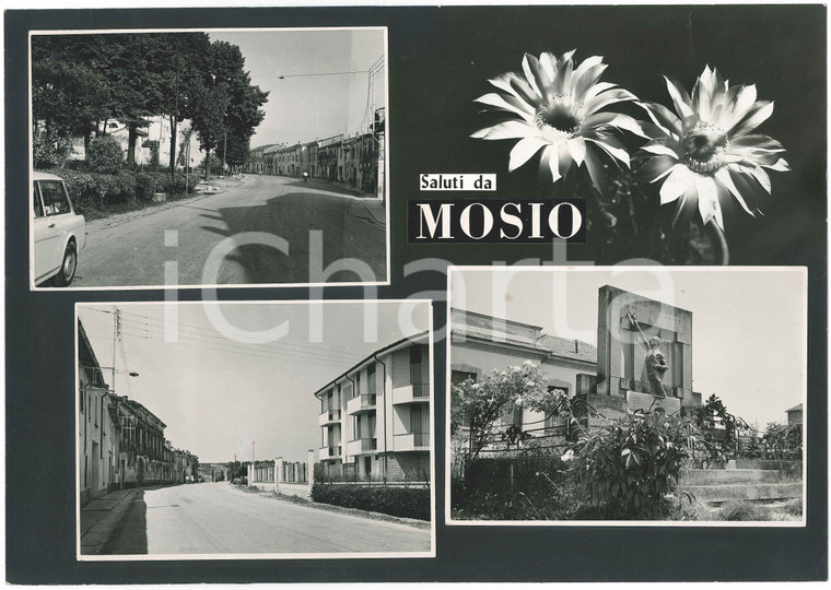 1965 ca MOSIO / ACQUANEGRA SUL CHIESE Vedutine - Monumento *Bozzetto cartolina