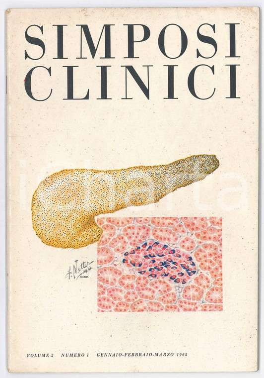 1965 SIMPOSI CLINICI Vol.2 n.1 - Rachmiel LEVINE sul diabete mellito - Rivista