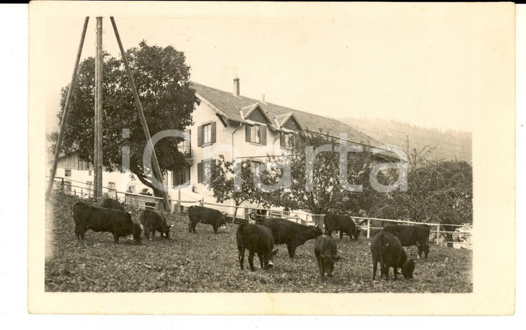 1930 ca SVIZZERA / SCHWEIZ Veduta di una dimora rurale *Foto cartolina VINTAGE