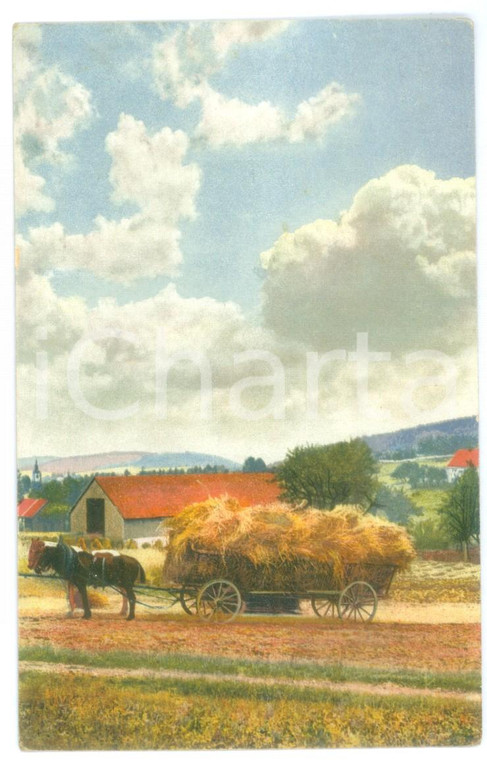 1910 ca ARTE Paesaggio agreste con raccolta del fieno *Cartolina illustrata 