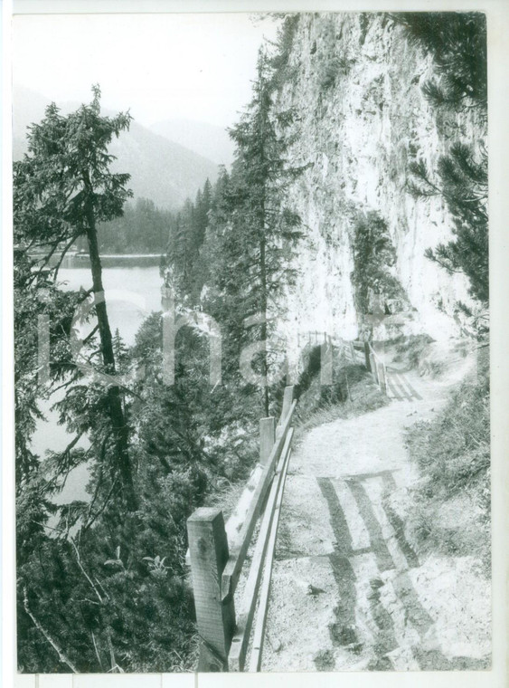 1979 LAGO DI BRAIES (BZ) Sentiero lungo il Sasso del Signore *Foto 13x18 cm