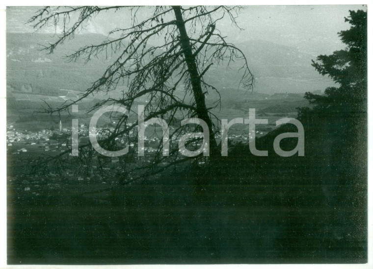 1982 Strada TONALE e MENDOLA - Veduta Val d'Adige e Monte di Sotto *Fotografia