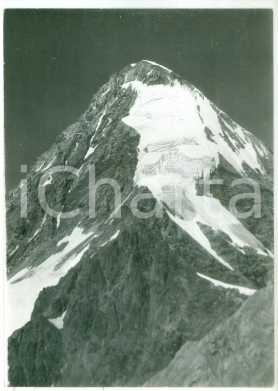 1964 GRUPPO ORTLES-CEVEDALE Cima del Gran Zebrù *Fotografia vintage 13x18 cm