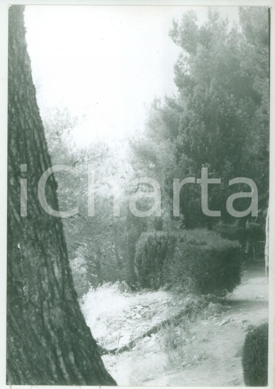 1981 GRIMALDI (IM) - Veduta dalla VIA AURELIA *Fotografia vintage 13x18 cm 