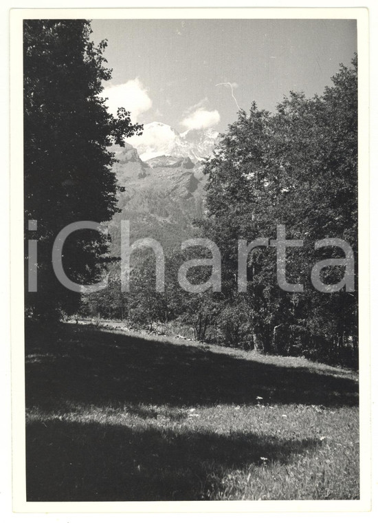 1972 ALAGNA VALSESIA (VC) Scorcio del Monte Rosa *Foto ARTISTICA 18x13 cm