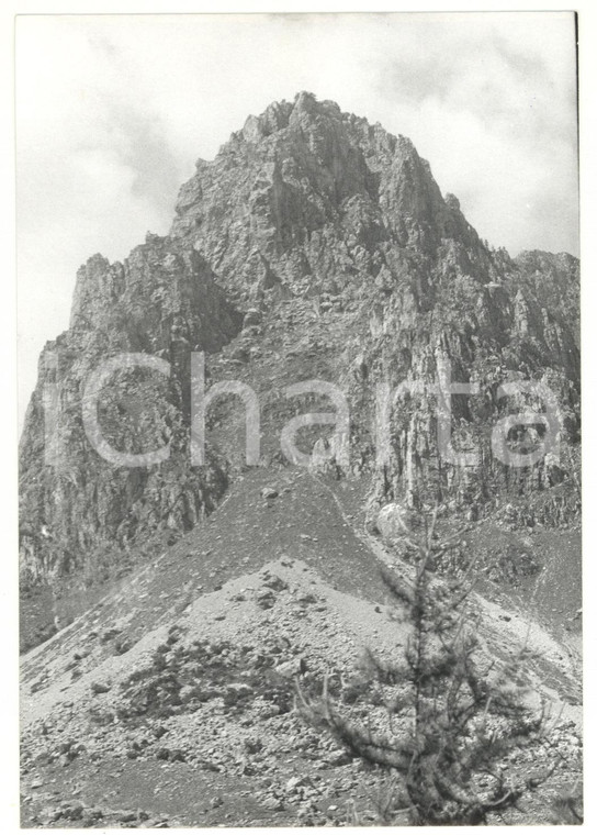 1981 SARETTO (CN) Veduta delle Alpi Cozie *Foto VINTAGE 18x13 cm
