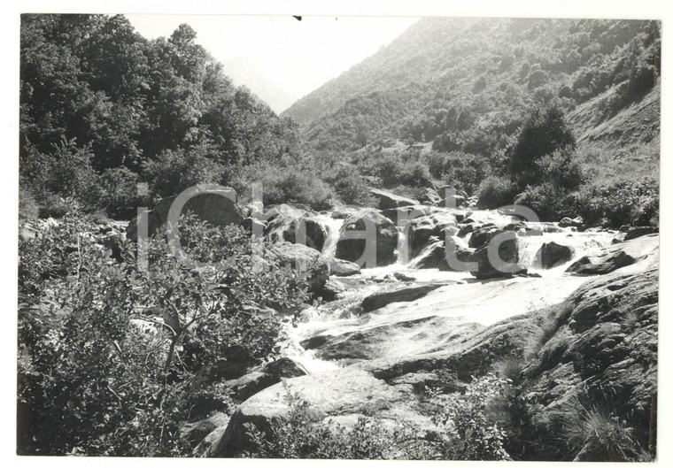 1981 VALLE S. GIACOMO Veduta panoramica del torrente Gesso della Barra *Foto