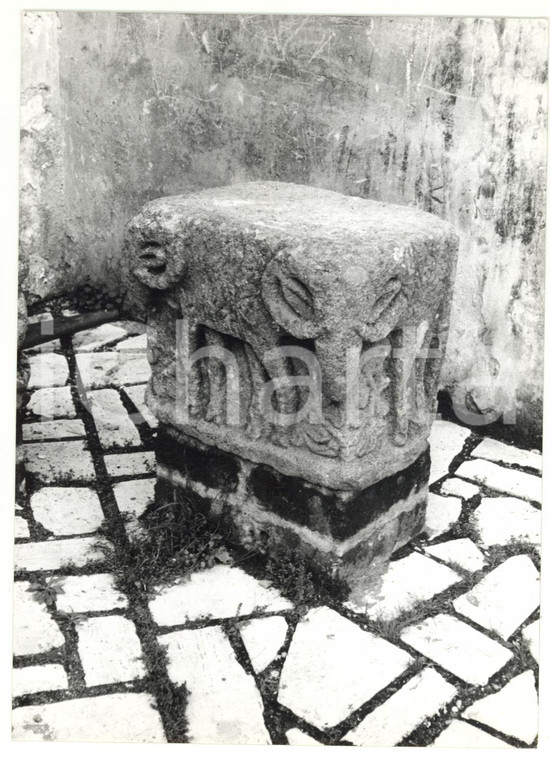 1982 TOLFA (ROMA) Rocca dei Frangipane - Altare in pietra con arieti *Foto 13x18
