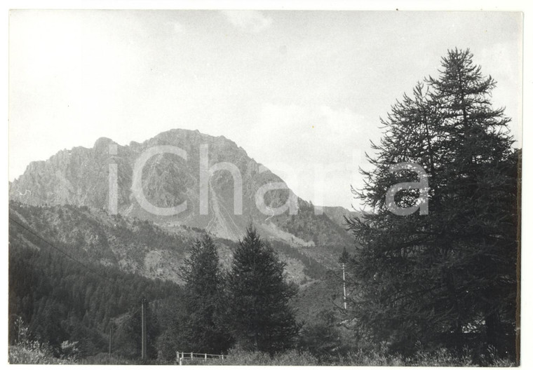 1981 PONTE MAIRA (CN) Veduta panoramica della VALLE MAIRA *Foto 18x13 cm