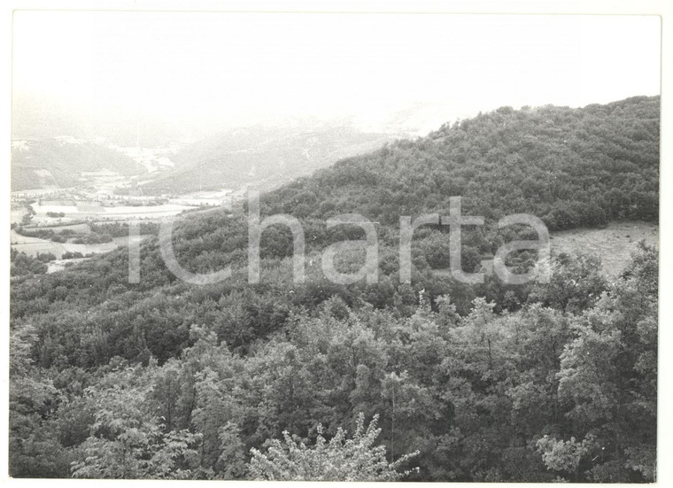 1979 FORCA DELLA CIVITA (PG) Veduta dei boschi *Fotografia VINTAGE 18x13 cm