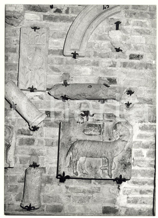 1979 ASSISI Cattedrale di SAN RUFINO - Frammenti architettonici romani *FOTO