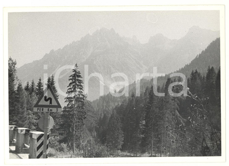 1971 LORENZAGO DI CADORE (BL) Veduta panoramica dal Passo della Mauria *Foto