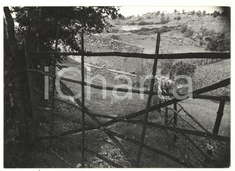 1976 ARCINAZZO ROMANO Veduta dell'altopiano attraverso una staccionata - FOTO